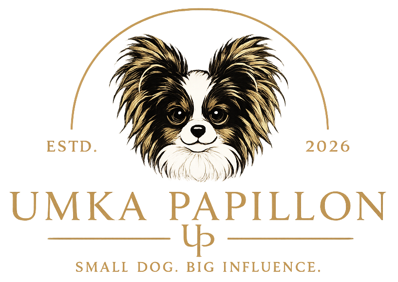 Umka Papillon — Small Dog. Big Influence.