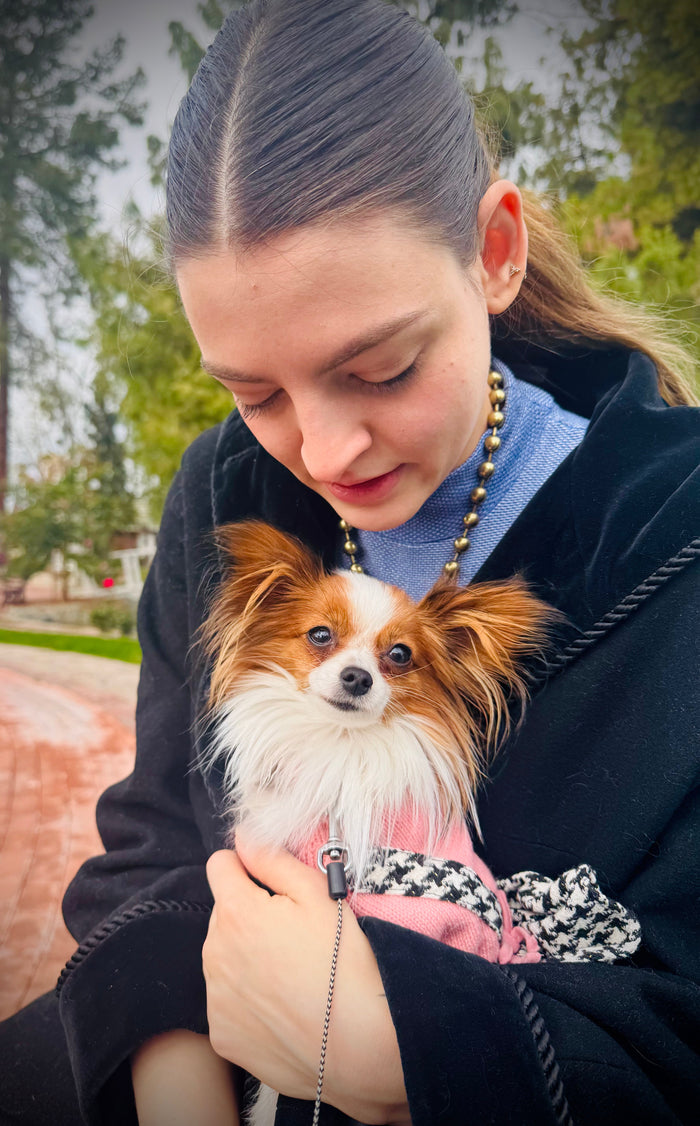 The Art of Spoiling a Small Dog