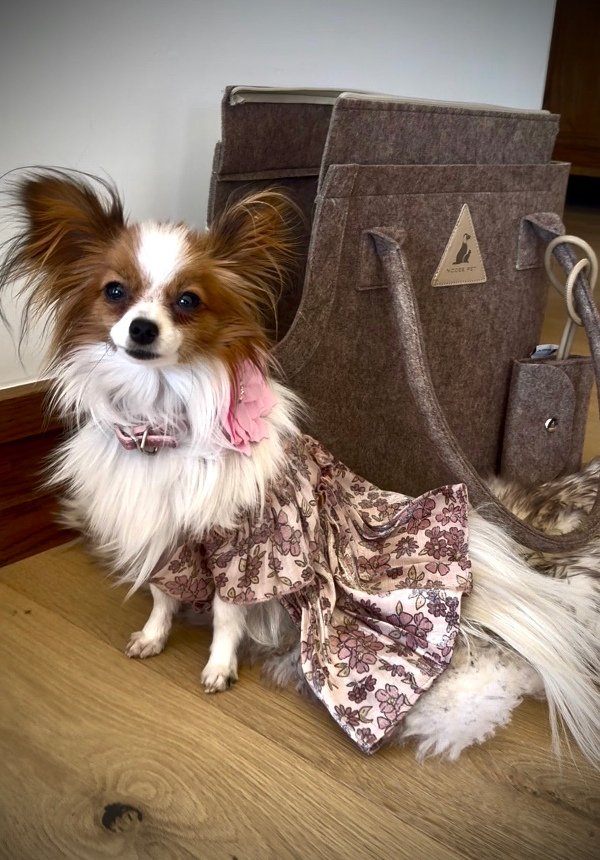 The Ultimate Guide to Luxury Dog Carriers for Small Dogs