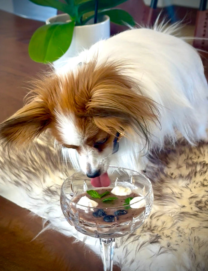 Umka's Blueberry Summer Pup Cups