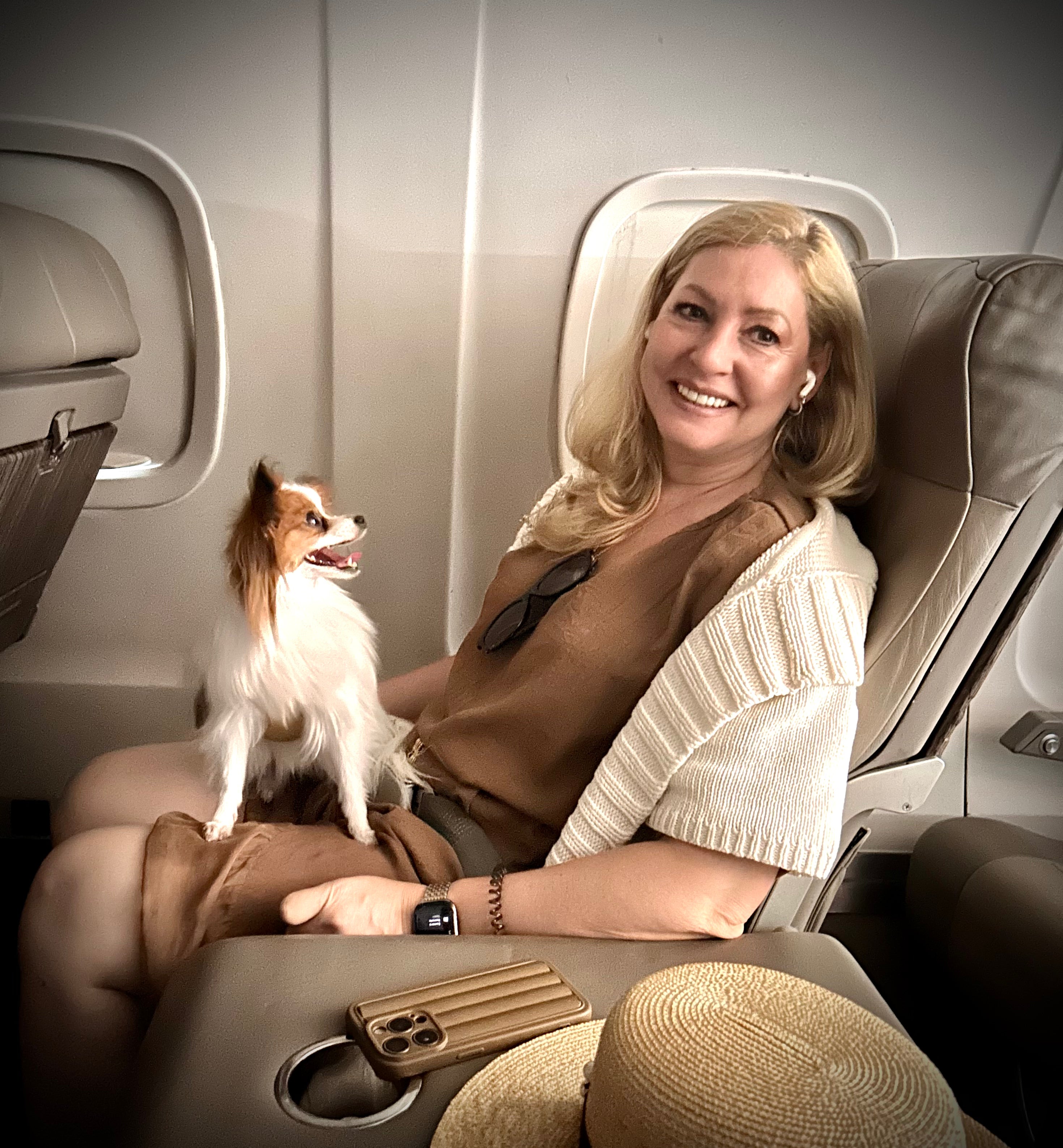 Umka the Papillon flying in-flight on her owner's lap, Umka Papillon Travel & Lifestyle collection