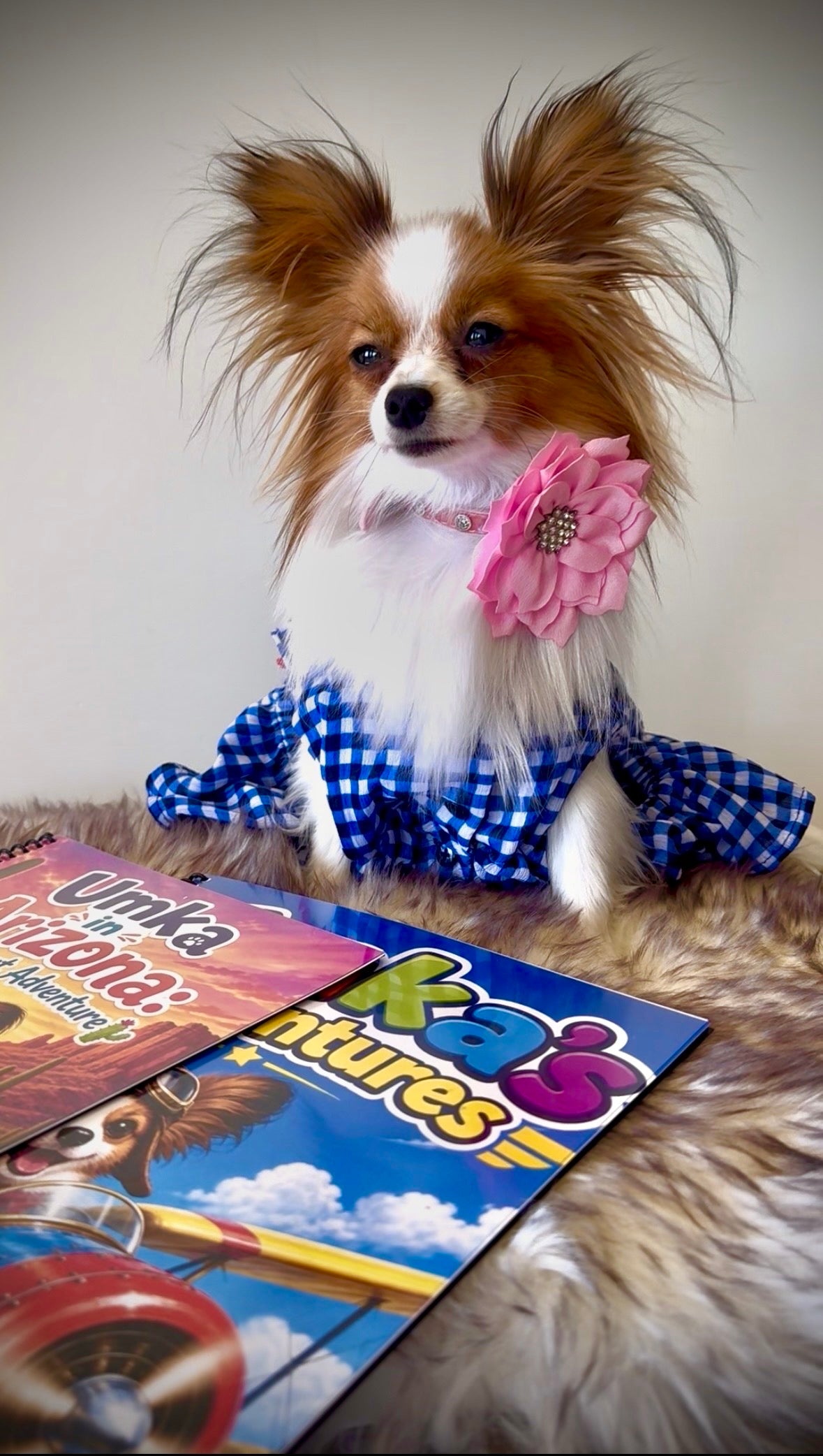 Umka the Papillon in a blue gingham dress and pink flower collar posing beside colorful Umka adventure coloring books, Umka Papillon Kids & Gifts collection