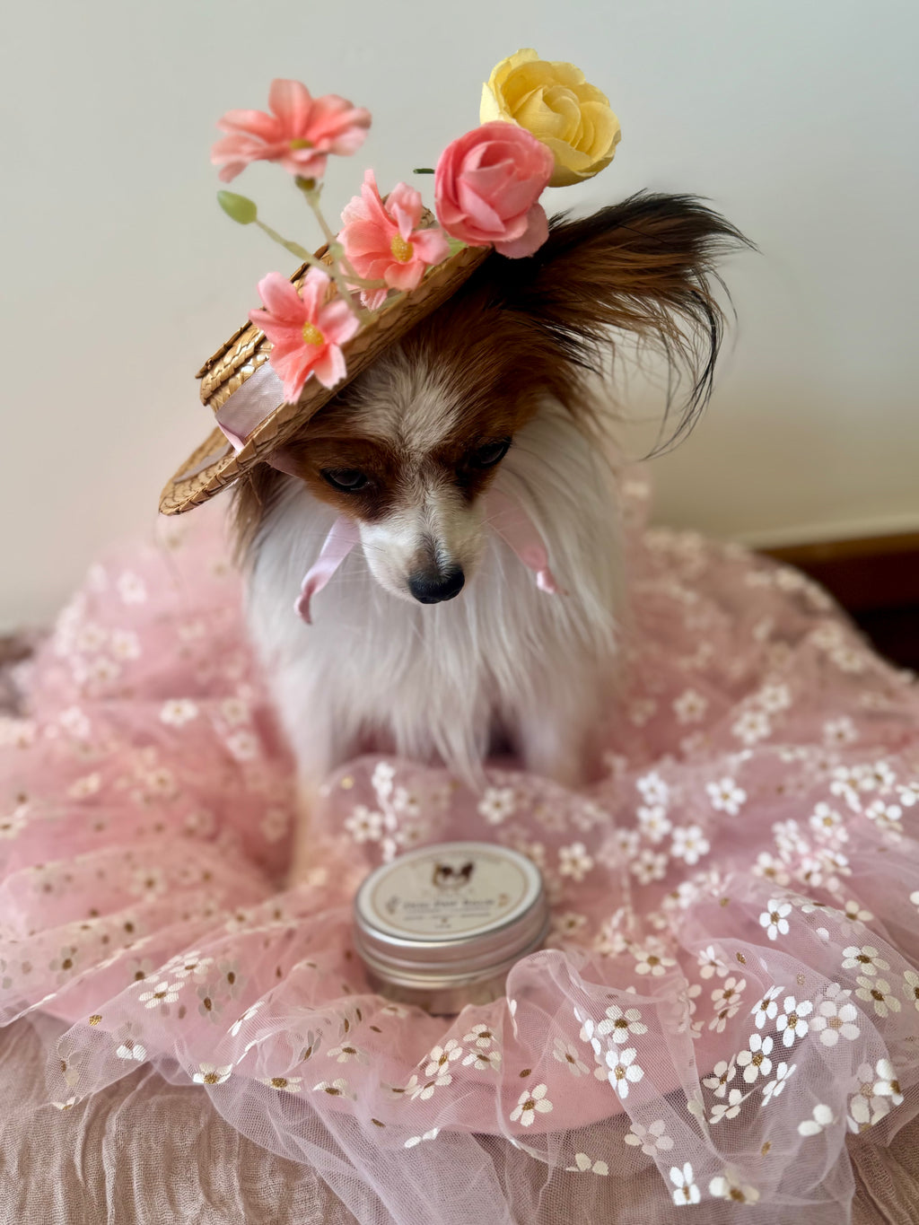 Umka Dog Paw Balm — Lavender + Chamomile