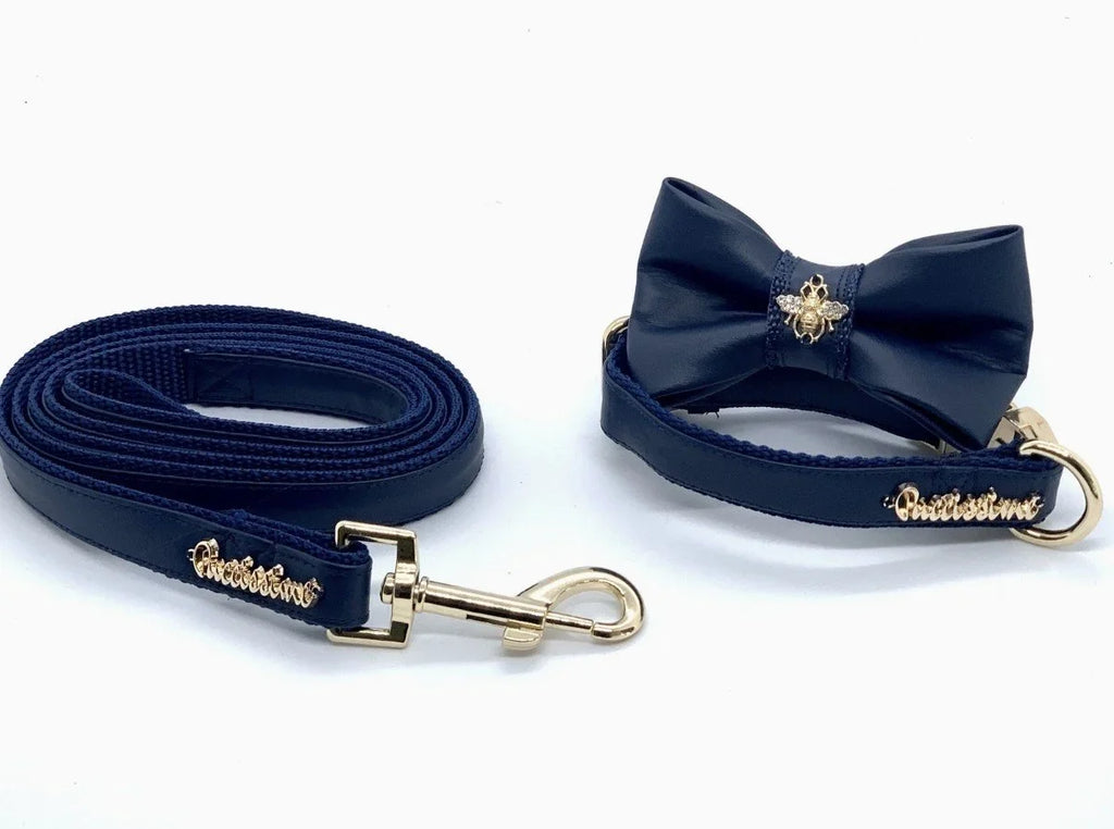 Neptune dog collar, bow tie, and leash set with gold hardware, Umka Papillon