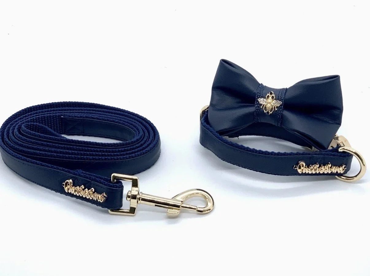Neptune dog collar, bow tie, and leash set with gold hardware, Umka Papillon