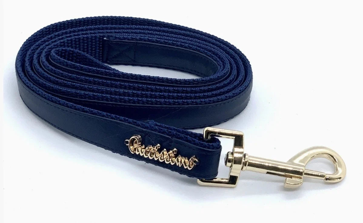 Neptune dog collar, bow tie, and leash set with gold hardware, Umka Papillon