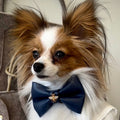 Umka wearing the Luxury Bow Tie in Dark Blue