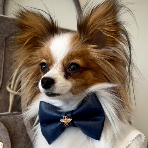 Umka wearing the Luxury Bow Tie in Dark Blue